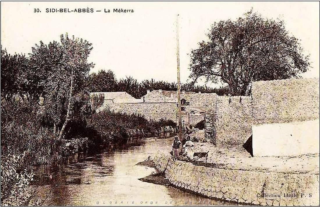 Sidi bel abbes 173.jpg
